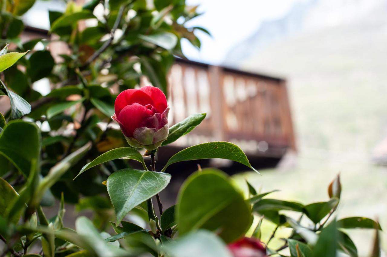 Casa Vacanza Scacco D' Argento Boario Terme 外观 照片